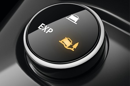 RENAULT SCÉNIC XMOD, Extended Grip