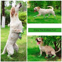 Botas para perros antideslizantes en varias tallas, rebajadas en Amazon por sólo 7,64 euros