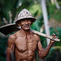 La jubilación de los autónomos que no es tal: 122.000 trabajadores continúan trabajando más allá de los 65 años