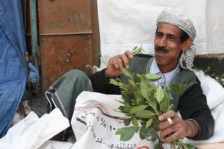 El khat, la droga de los señores de la guerra somalís, prohibida en el Reino Unido