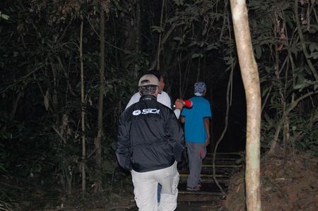 Visitando Malasia, ruta nocturna por Taman Negara
