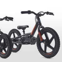 Querrás volver a tu infancia para pilotar las motos eléctricas a escala de Harley-Davidson, desde 574 euros