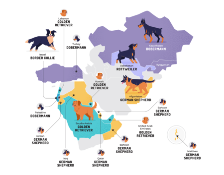 Oriente Medio Y Asia