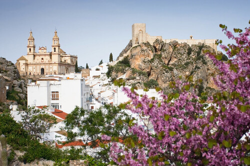 Olvera