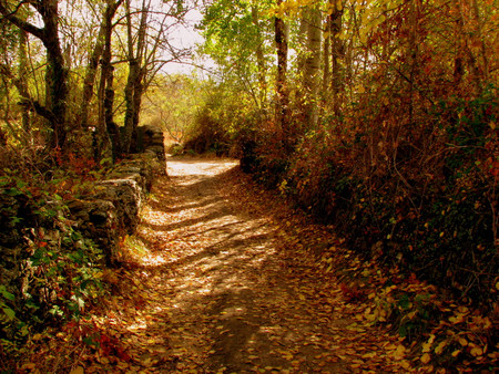 Montejo De La Sierra