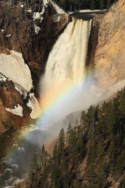 yellowstone