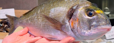 Así distingue entre una dorada salvaje y una de piscifactoría una pescadera “solo mirándolas” 