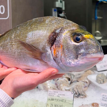 Así distingue entre una dorada salvaje y una de piscifactoría una pescadera “solo mirándolas” 
