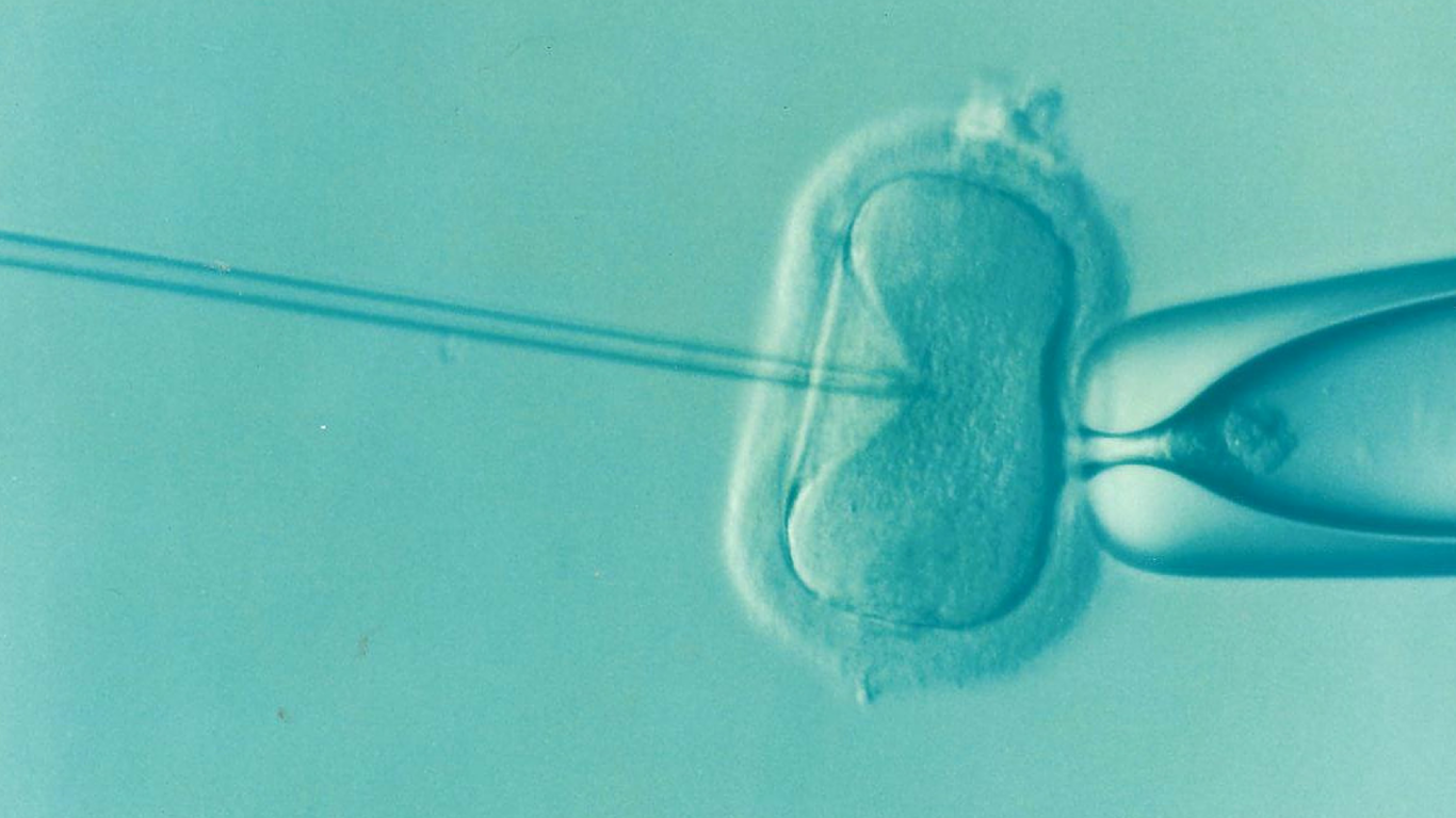 Desde el primer bebé probeta hasta la modificación genética: 40 años de avances y polémica en la medicina reproductiva