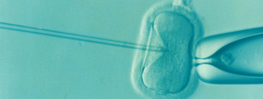 Desde el primer bebé probeta hasta la modificación genética: 40 años de avances y polémica en la medicina reproductiva