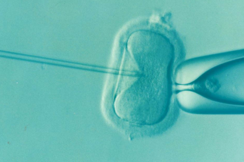 Desde el primer bebé probeta hasta la modificación genética: 40 años de avances y polémica en la medicina reproductiva