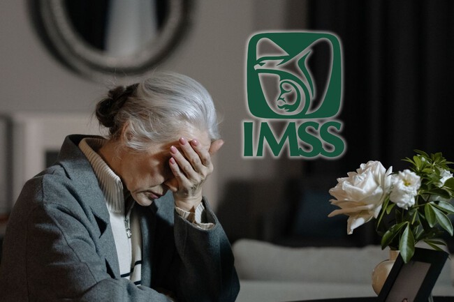 Imss Pension Viudez