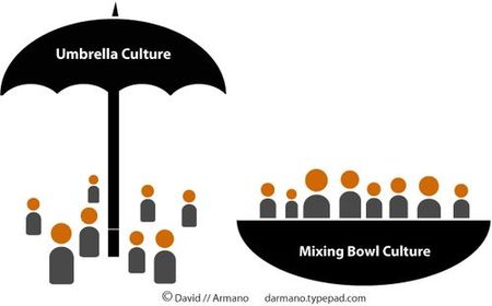 ¿Cómo es la cultura en tu empresa, paraguas o tazón de cereales?