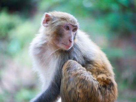 Post De Facebook Frase Acuarela Azul 1200 X 900 Px 3