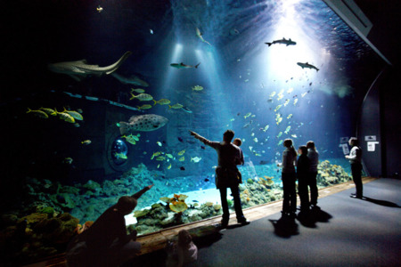 Tropenaquarium Im Tierpark Hagenbeck 2