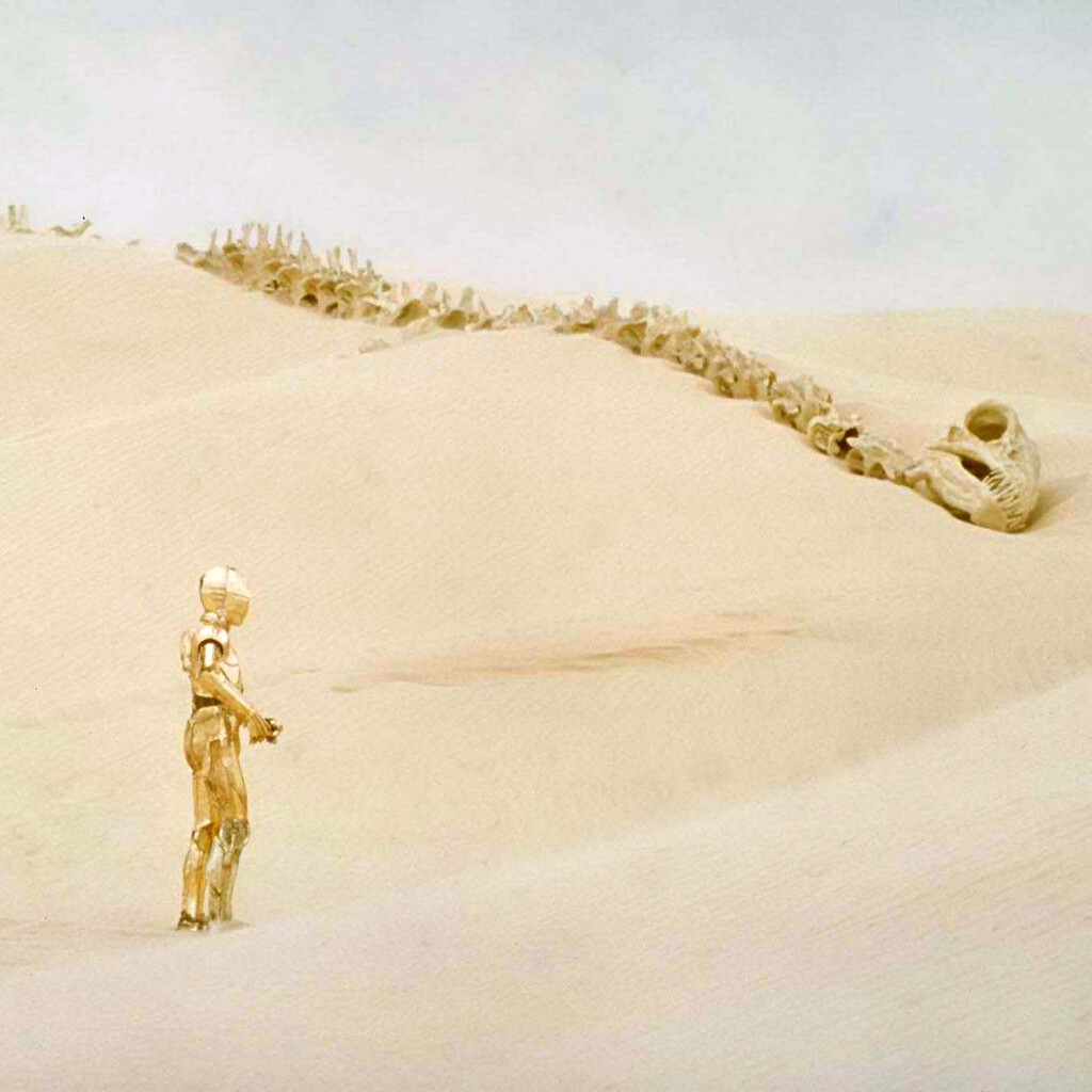 George Lucas lo abandonó en el desierto, el Mandaloriano luchó contra él y tú puedes comprar un trozo del esqueleto más famoso de Star Wars George Lucas lo abandonó en el desierto, el Mandaloriano luchó contra él y tú puedes comprar un trozo del esqueleto más famoso de Star Wars