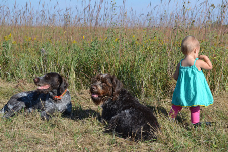 Niños que tienen miedo de los animales