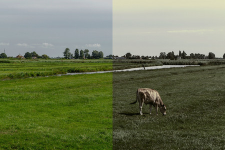 Cómo conseguir un estilo de color 'Invierno seco' en Photoshop