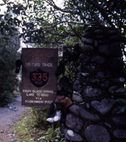 Los mejores trekkings de Nueva Zelanda II: The Milford Track