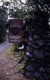 Los mejores trekkings de Nueva Zelanda II: The Milford Track