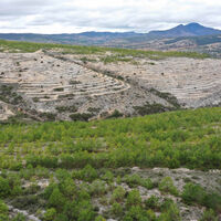 Este pueblo de Oaxaca no empezó plantando árboles: primero tuvo que recuperar la tierra
