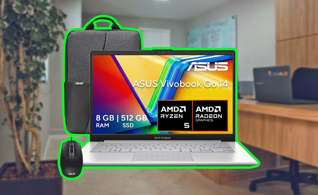 Asus Vivobook Go 14
