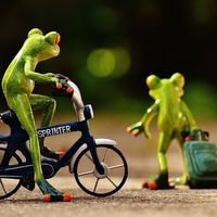 Cuando te vas de un trabajo y dejas atrás a un buen equipo