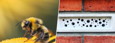 Tenemos un grave problema con la extinción de las abejas. Reino Unido quiere solucionarlo con ladrillos