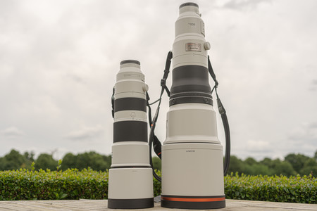Sony FE 600mm F4 GM OSS y FE 200-600mm F5.6-6.3 G OSS: información y toma de contacto con los nuevos teles para deporte y fauna
