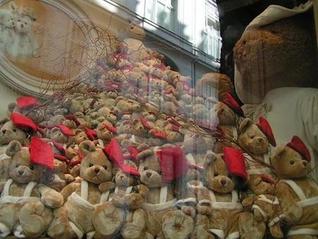 Cinco animales entrañables que pueden hacerte mucho, mucho daño
