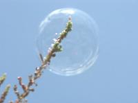 Tendencia de otoño: gurús y ninjas 