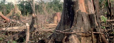 Tarde demais? Cientistas alertam que o planeta está prestes a ultrapassar limites climáticos irreversíveis