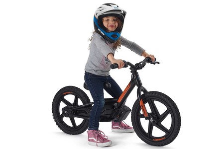 Harley Davidson Stacyc 16