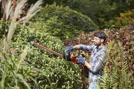 Ofertas de herramientas para el cuidado del jardín en Amazon: motosierras, tijeras de poda o hidrolimpiadoras rebajadas