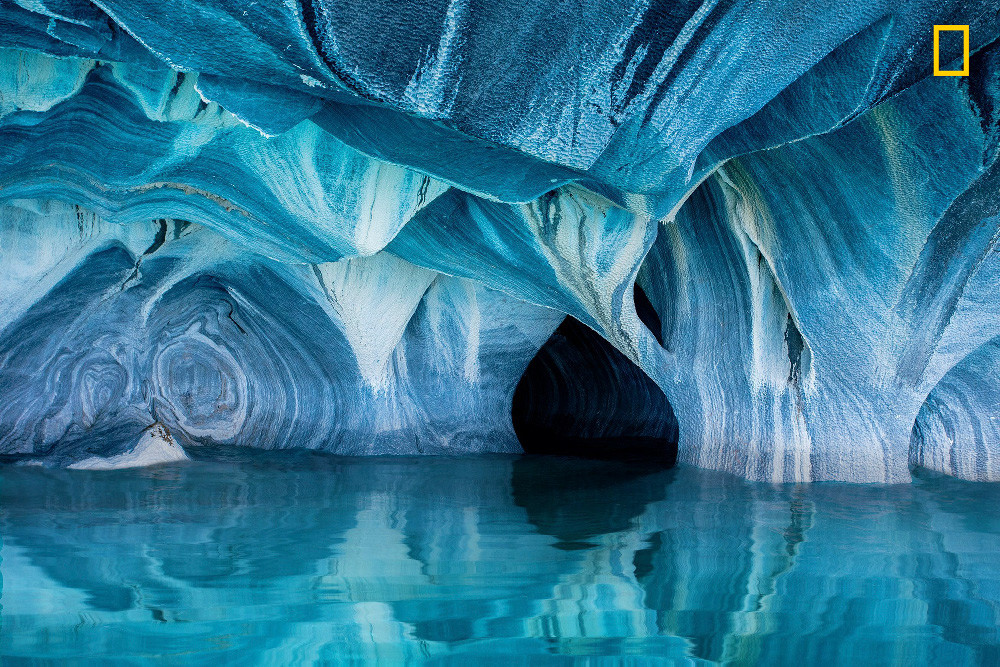 Yourshot Tpoy Nature Hm1 Gessel