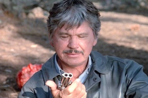 Charles Bronson