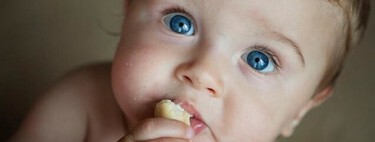 ¿Cuándo puedo dar pan a mi bebé?