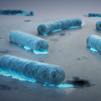 O futuro da sustentabilidade? Cientistas descobrem bactéria que come plástico PET 