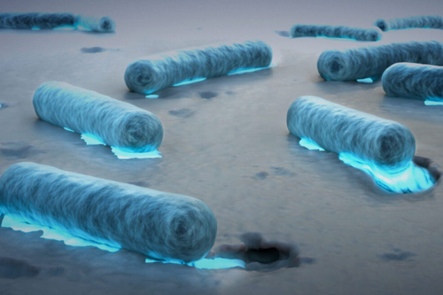 Reprodução/© 2025 KAUST