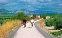 Jaén: La vía verde del aceite