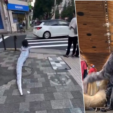 Tú fuiste emo, los adolescentes de hoy son therians: quiénes son los jóvenes que se identifican como animales 