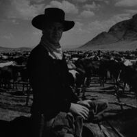 Hoy en TV, un gran western venerado por Martin Scorsese y por un John Ford que se quedó sorprendido