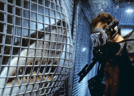 Escena Deep Blue Sea