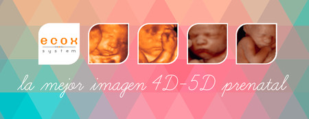 Ecox Ecografia