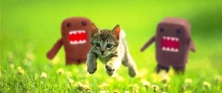 Cuando un desarrollador enferma su jefe mata un gatito