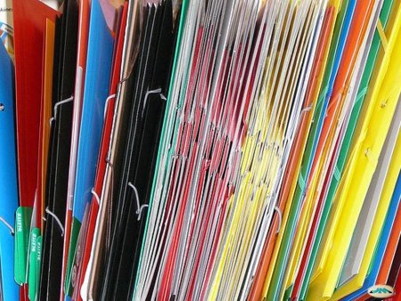 Duro auto judicial contra la SGAE por exigir el acceso a las cuentas de una tienda de informática