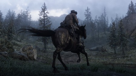 Red Dead Redemption 2 10
