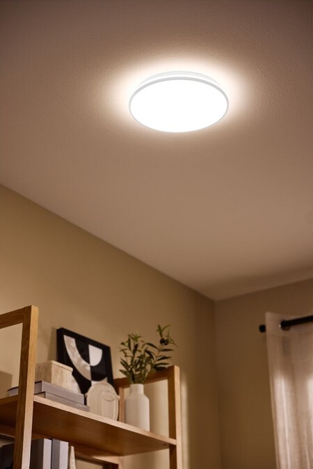 Lampara De Techo Lidl