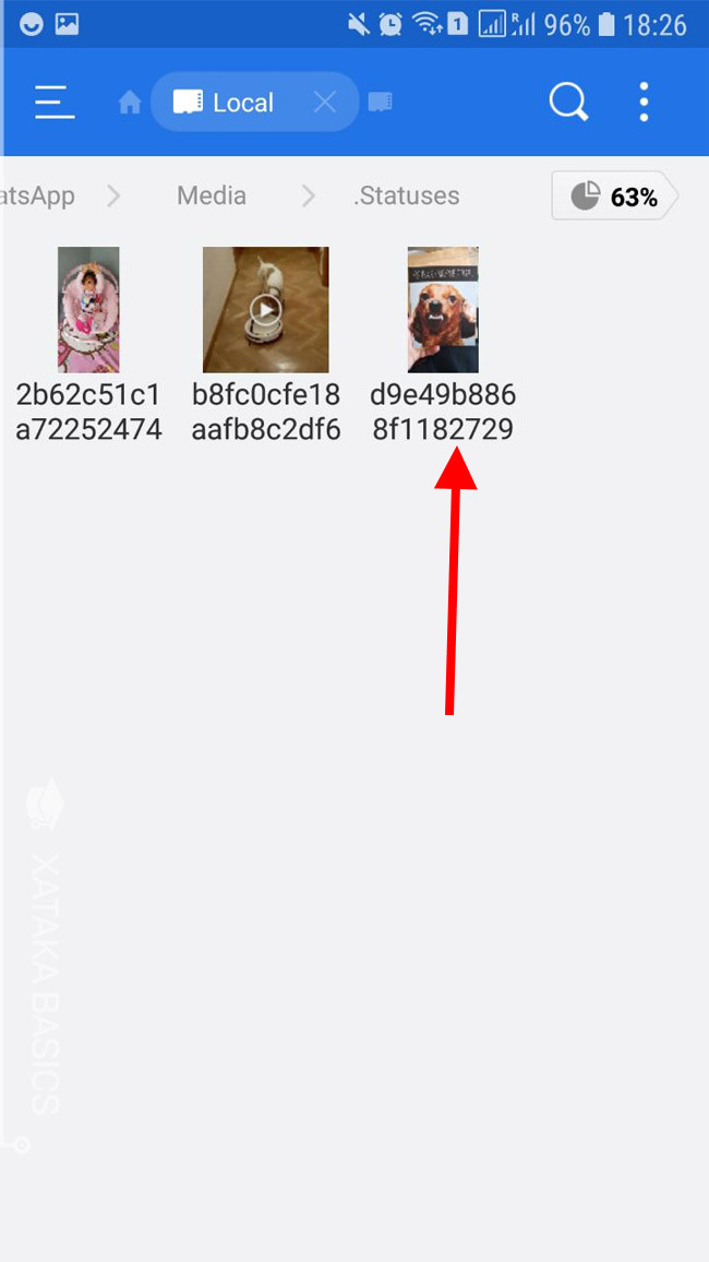 En Que Carpeta Se Guardan Los Stickers De Whatsapp