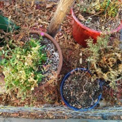 Foto 7 de 15 de la galería mejora-de-la-camara-del-nexus-5-con-android-4-4-1 en Xataka Android